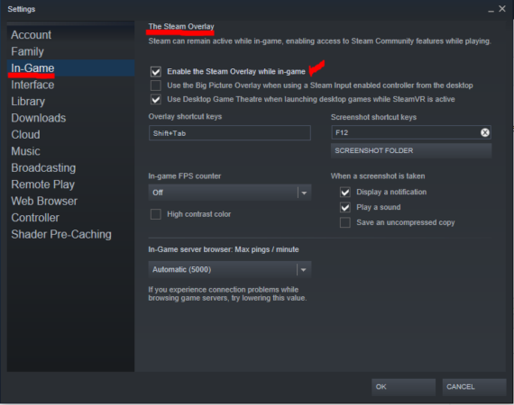 Steam overlay check box