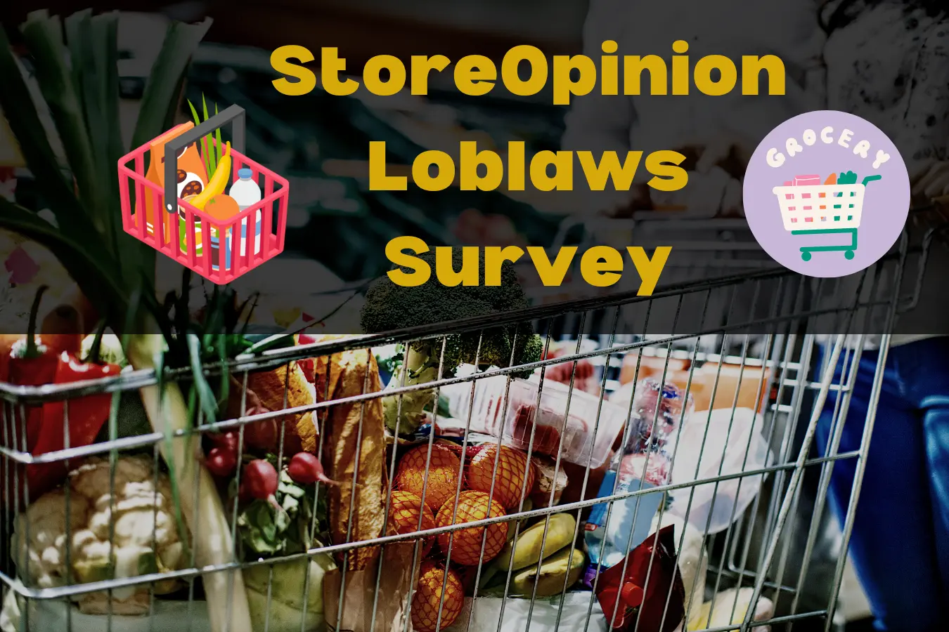Www.Storeopinion.CA No Frills & Loblaws Survey